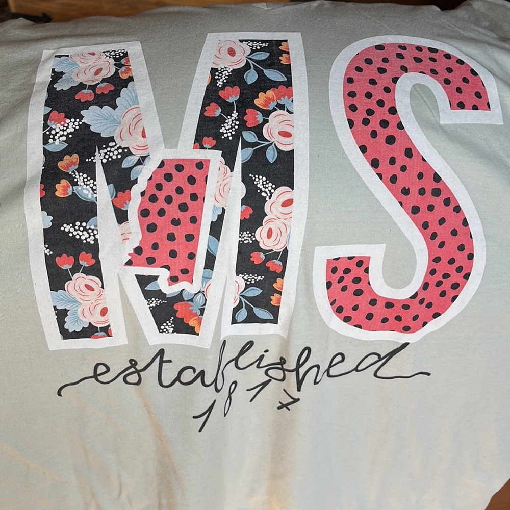 🌷3 Tops for $18 - NWT Calamity Jane’s Mississippi V-Neck Pale Gray Tee